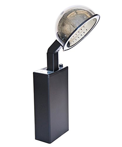 Click Here to See More Images Pibbs CD320 Salon Hair Dryer