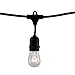 Bulbrite 14 ft, 10-Socket Decorative Kit with Clear Incandescent STRING10/E26/BLACK-S14KT Indoor and Outdoor String Lights, Foot, Black
