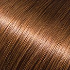 Hair Building Fibers 200 Grams 7 Oz. With Bottle By Finally Hair 50g4 (Medium Brown)