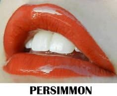 LipSense Bundle (Persimmon) 1 Lip Color and 1 Glossy Gloss