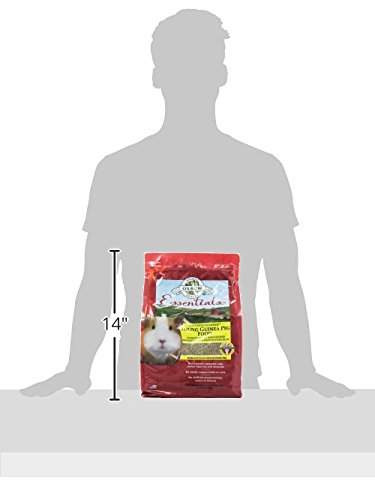 Essentials- Young Guinea Pig Food