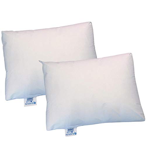 2 Units Of Anti Allergy Pillow Covers Protectors 2 Dust Mite