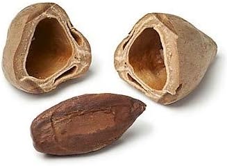 Nut Pili In Shell 1kg - Parrot Treat