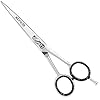 Maxylon-Hairdressing-Scissors-for-Professional-Hairdressers-6-inch-Stainless-Steel-Hair-Cutting-Shears-for-Salon-Barbers-Men-Women Maxylon Hairdressing Scissors for Professional Hairdressers 6 inch Stainless Steel Hair Cutting Shears for Salon Barbers…