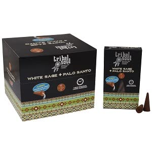 Tribal Soul Premium Backflow Incense Cones (Jumbo, 10 Cones) | Aromatic, Long-Burning for Waterfall Incense Burners : (2 Packs, White Sage & Palo Santo)