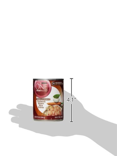 PURINA ONE TENDER CUTS IN WET DOG FOOD GRAVY CHICKEN AND BROWN RICE ENTREE – (PACK OF 12) 13 OZ. CANS