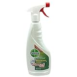 Dettol Anti-Bacterial Multi Action Cleaner