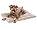 Aspen Pet Kennel Mat, 23-1/2 by 16-1/2-Inch