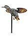 MOJO Outdoors Elite Series Spinning Wing Duck Decoy, Duck Hunting Gear and Accessories, Gadwall,One Size,HW2473