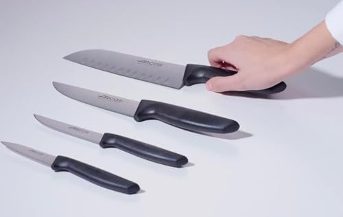 Faca vegetal de aço inoxidável. Faca profissional para legumes para descascar frutas e legumes. Cabo ergonómico de polioximetileno e lâmina de 110 mm. Série Nice. Cor preta.