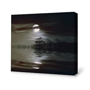 for Living Room Bedroom Home Artwork Paintings Secret...