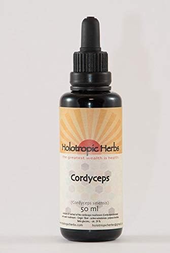 Cordyceps Tincture 50 ml – Cordyceps Sinensis