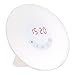 ChoiceLife Sunrise Simulation Wake-Up Light Alarm Clock Nature Night Light with FM Radio Function and Touch Control and USB Charger for Bedroom Playroom Nursery
