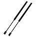 Maxpow 1Pair Front Hood Lift Supports Shocks Struts Compatible With 2000 2001 2002 2003 Maxima 4161