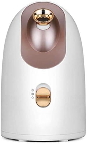 Dsxz ナノスプレー保湿剤顔用加湿器家庭用スプレー美容装置大容量