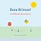 Livro Bora Brincar!: As Melhores Brincadeiras