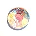 40mm Swarovski Strass Prism Aurora Borealis Sun Disc Suncatcher - Great for Feng Shui