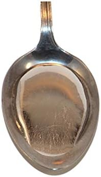 Weiyun Pure Gallium Low Melting Point Metal Magic-Magician Supplies Refined in Your Hand -Magic Educational DIY Toy (20 Grams)