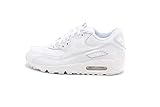 Nike Air Max 90 (gs) Big Kids 307793-167