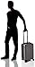 CHESTER Minima Carry-On Luggage / 22