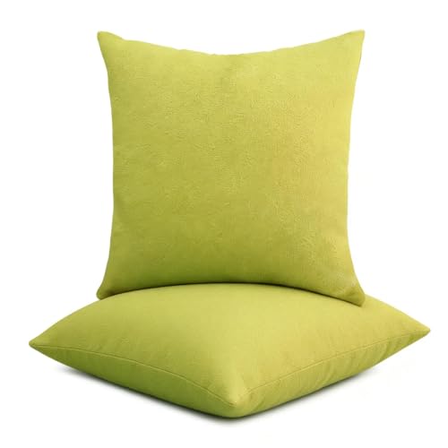 EVAsponge 18 * 18 inches Throw Pillows,Decorative Pillows for Couch,Ginger at Amazon
