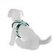 Pawtitas Reflective Dog Harness Padded Dog Harness Provides Comfort Control for a Walk or Running Great Pet Accessories Dog Vest S Small Teal Dog Harness