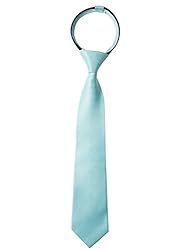 Spring Notion Boys' Satin Zipper Necktie, Optional