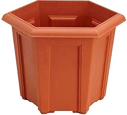 Grow Green Plastic Hanging Planter for Balcony [Set of 6], Railing Planters Hanging Pots for Plants (Multicolor, Medium Size-Dimension 23 cm x 18 cm x 12.5 cm)