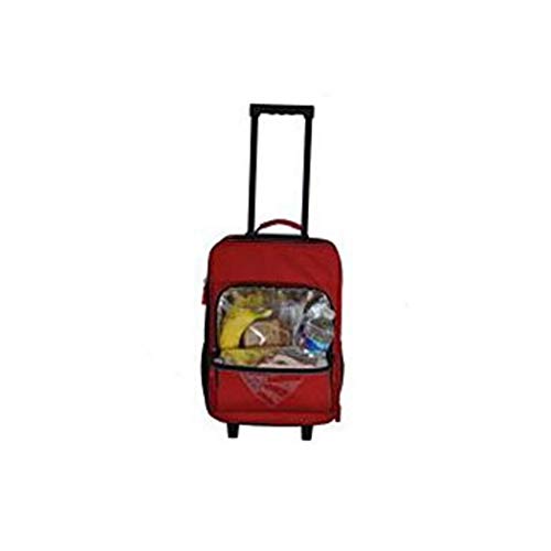 Amazon.com: DSOS - Maleta de transporte para niñas, diseño ...