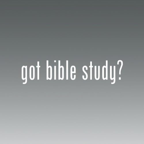 Got Bible Study Logo sticker vinyl decals- Die Cut Decal Bumper Sticker For Windows, Cars, Trucks, Laptops, Etc.