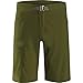Arc'teryx Men's Lefroy Shorts