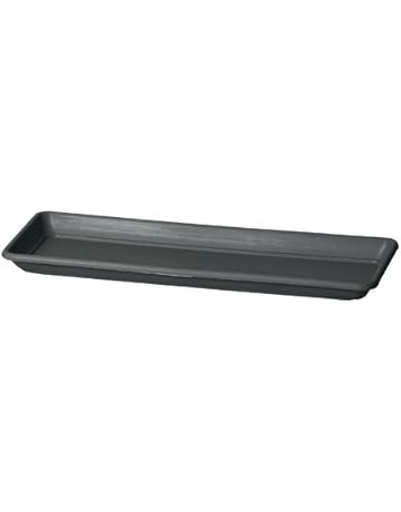 Platillos para plantas | Amazon.es