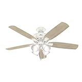Hunter Fan Company 53217 Amberlin Indoor Ceiling