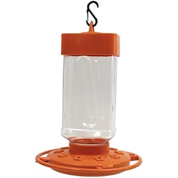 Amazon Com Birds Choice 1009 Oriole Fest Oriole Feeder 12 Ounce