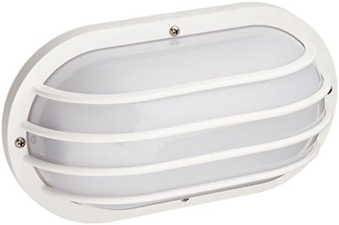 Interglobal Products FE102-E13-WFL PL-9 Ceiling/Wall Fixture