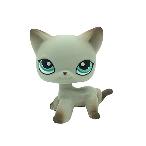 LPSMINPET Rare Mini Pet Toys Short Hair Cat Gray Egyptian Cat Blue Eyes