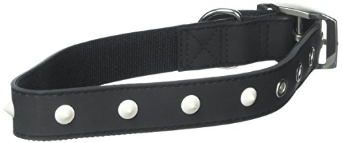 Zack & Zoey Glow Stud Collar, 14 to 18-Inch, Black