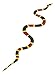 Safari Ltd. Coral Snake Figurine - Detailed 23