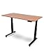 Electric Standing Desks (60 Inches, Black Frame/Teak Top)