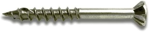 Wood+Screw+%238x2+Ss+55pk
