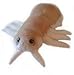 Giant Microbes Louse Plush – Learn About Lice and How to Treat Them, Fun Educational Gift for Family, Friends Doctors, Nurses, Scientists, Insect Lovers and All with a Healthy Sense of Humor