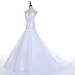 WeddingDazzle Applique Wedding Bridal Long Plus Size Wedding Dresses for Bride