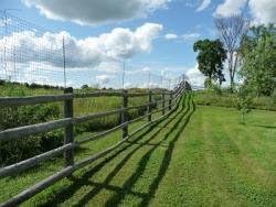 Ultimate Deer Free Plus 300