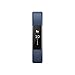 Fitbit Alta Fitness Tracker, Silver/Blue, Large (6.7 - 8.1 Inch) (US Version)