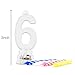 Novelty Place Birthday Number Candle Set, Flashing Multicolor Changing LED Birthday Cake Topper with 4 Wax Candles (Number 6)