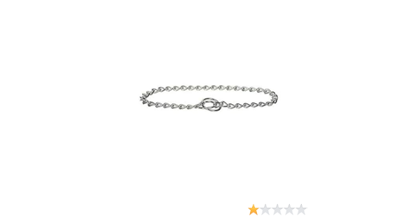 power chewer dog box