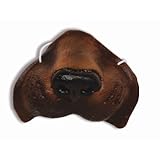 Animal Noses - Dog