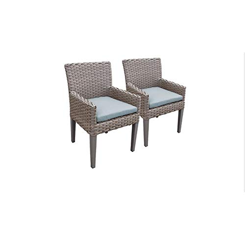 2 Oasis Dining Chairs With Arms in Spa