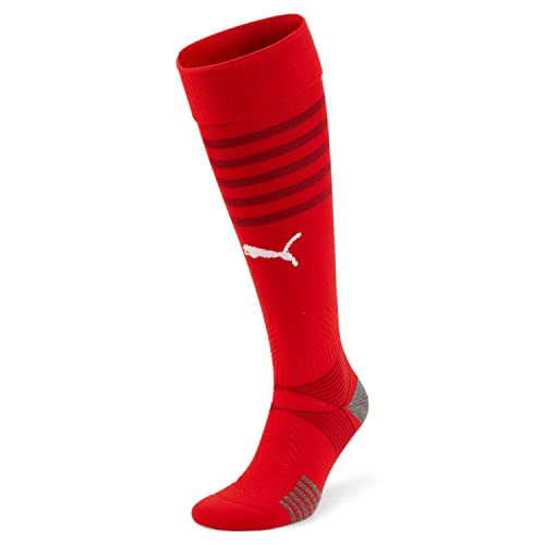 Puma Puma Teamfinal Socken Unisex