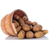 Simply Seed - Russet Burbanks - Naturally Grown Seed Potatoes - 5 LBS - Ready for Springl Planting